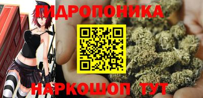 шишки Моздок