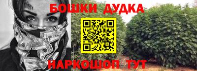 гидропоника Можга
