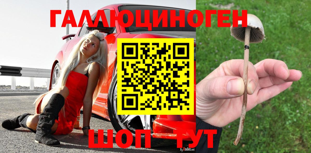 Галлюциногенные грибы мицелий  Вход с VPN  Чебаркуль 