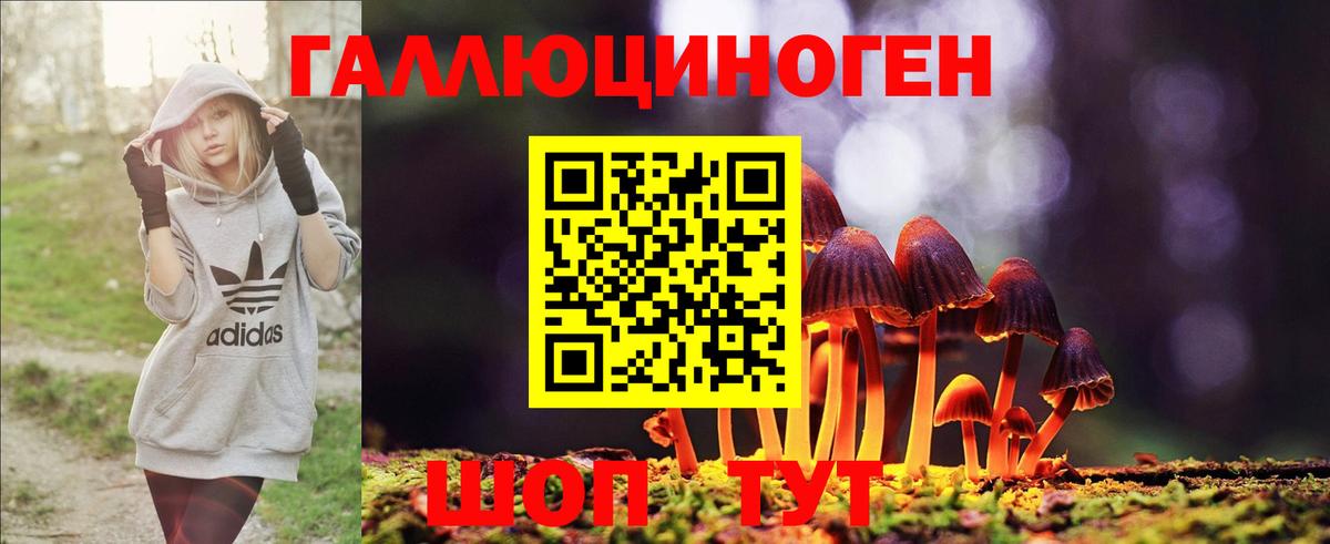 Псилоцибиновые грибы Psilocybine cubensis Чебаркуль